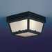 Plastic Outdoor Flush Mount in Black