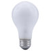 A19 100 Watt Incandescent Bulb in Inside Frost