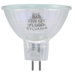 Tru-Aim Standard MR16 20 Watt BAB 12 V Flood Beam Tungsten Halogen Bulb