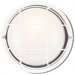 Exterior  Round Flush Mount in White