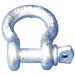 Screw Pin Anchor Shackles - 3/4 screw pin anchor shackle