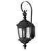 Camelot Wall Lantern with Scroll in Black