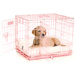 ProValu Two-Door Dog Crate in Pink