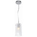 Proteus 1 Light Mini Pendant
