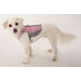 Dog Wear Reflective Mesh Vest Harness in Pink and Gray