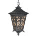 Bientina Outdoor Hanging Lantern in Slate