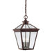 Ellijay  Outdoor Hanging Lantern in English Bronze