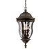 Monticella  Outdoor Hanging Lantern in Walnut Patina