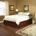 Palladia Queen Storage Platform Bed