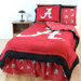NCAA Bed in a Bag ? With Team Colored Sheets