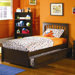Brooklyn Platform Bed with Flat Panel Footboard and Trundle
