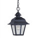 Bancroft  Outdoor Pendant in Black
