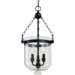 Westminster 3 Light Indoor Pendant