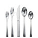 Carry On 20 Piece Flatware Set