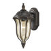 Baton Rouge  Outdoor Wall Lantern in Walnut