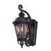 Castle Three Light Outdoor Wall Lantern