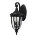 English Bridle Three Light Outdoor Wall Lantern