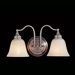 Bristol  Vanity Light in Pewter