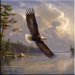 Tuftop Eagle Trivet