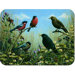 Tuftop Blackbird and Bullfinch Cutting Board