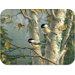 Tuftop Chickadees Cutting Board