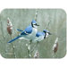 Tuftop Blue Jays Cutting Board