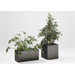 Pflanzk&uuml;bel "Planter"