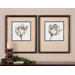 Tulip Sketch Wall Art (Set of 2)