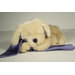 Lavender Lab
