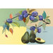 9.5" x 12.5" Avocados and Plums Design Cutting Board