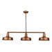 Walden 3 Light Pendant