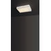 Cebra Four Light Wall / Ceiling Light