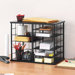 12-Slot Organizer