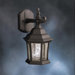 Townhouse  Outdoor Wall Lantern in Black