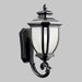 Salisbury 100W  Outdoor Wall Lantern in Black