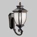 Salisbury 150W  Outdoor Wall Lantern in Rubbed Bronze