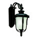 Luverne  Outdoor Wall Lantern in Rubbed Bronze