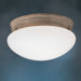 Ceiling Space 2 Light Flush Mount