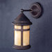 Tularosa  Outdoor Wall Lantern in Canyon View