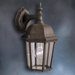 Madison  Outdoor Wall Lantern in Tannery Bronze