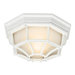  Outdoor Flush Mount in White