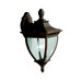 Amesbury  Outdoor Wall Lantern in Tannery Bronze with Gold Accent
