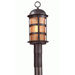 Aspen  Post Lantern in Natural Bronze