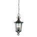 Britannia Hanging Lantern in English Bronze