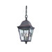 Markham Three Light Outdoor Medium Hanging Lantern in Weathered Bronze