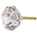 Posey Knob in Clear