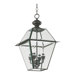 Duvall  Hanging Lantern in Bronze