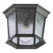 Cast Flush Mount in Timberland Granite