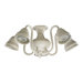 Five Light Branched Ceiling Fan Light Kit