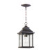 Pearson One Light Outdoor Pendant in Oiled Bronze